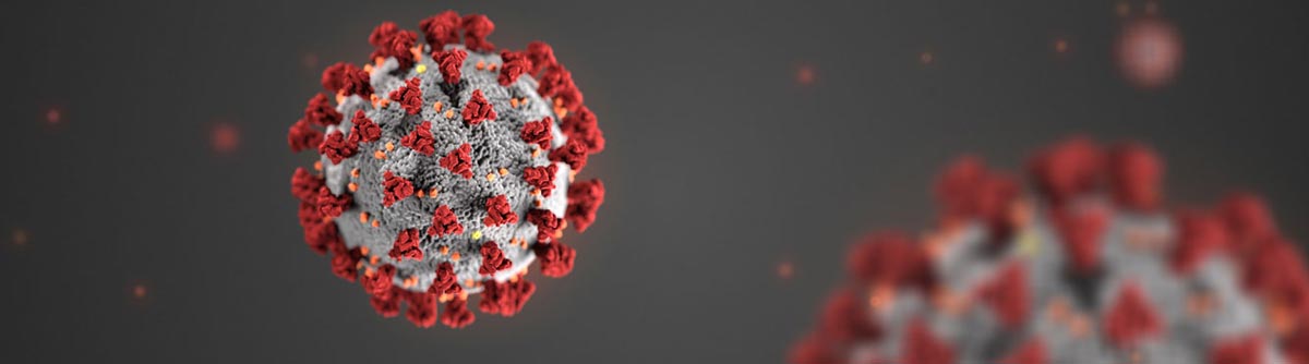 A highly magnified view of a coronavirus particle with spiky protein surface.