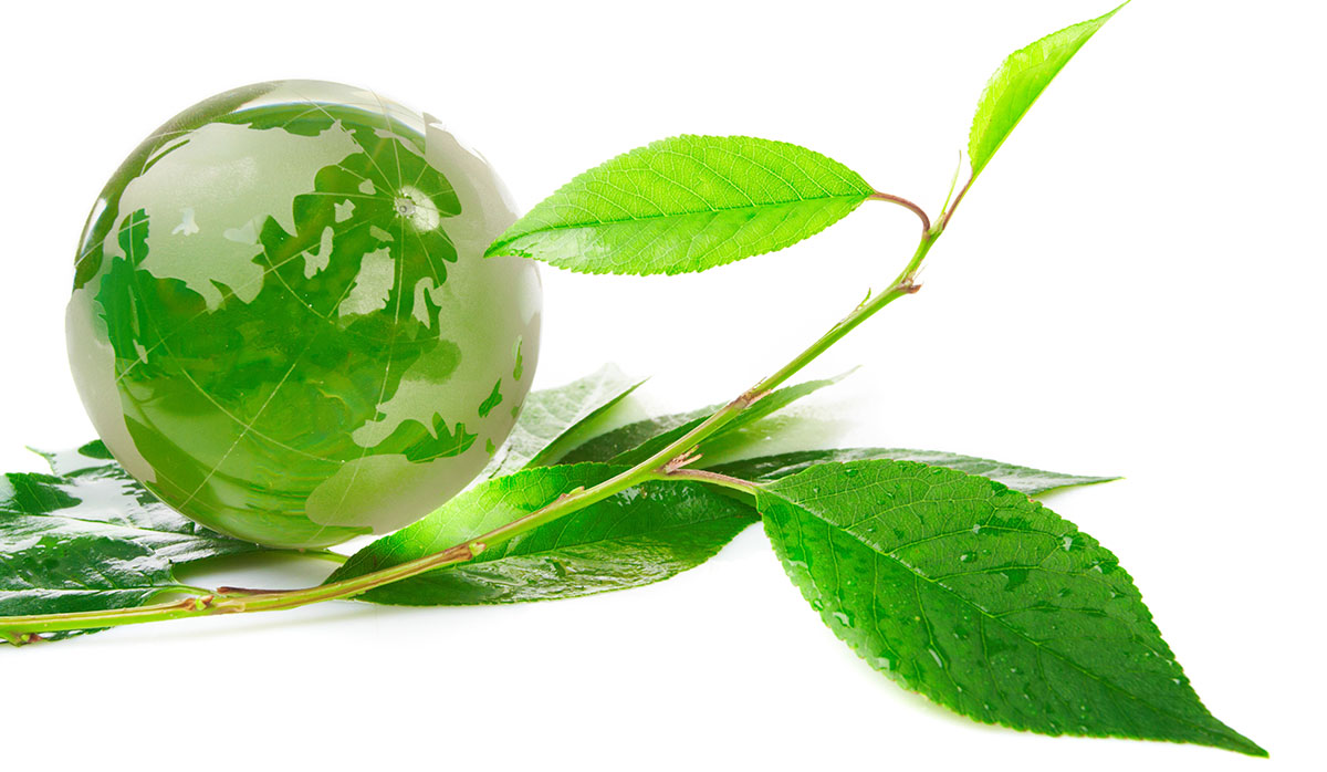 A clear glass sphere with green leaf patterns surrounded by fresh mint leaves on a white background.