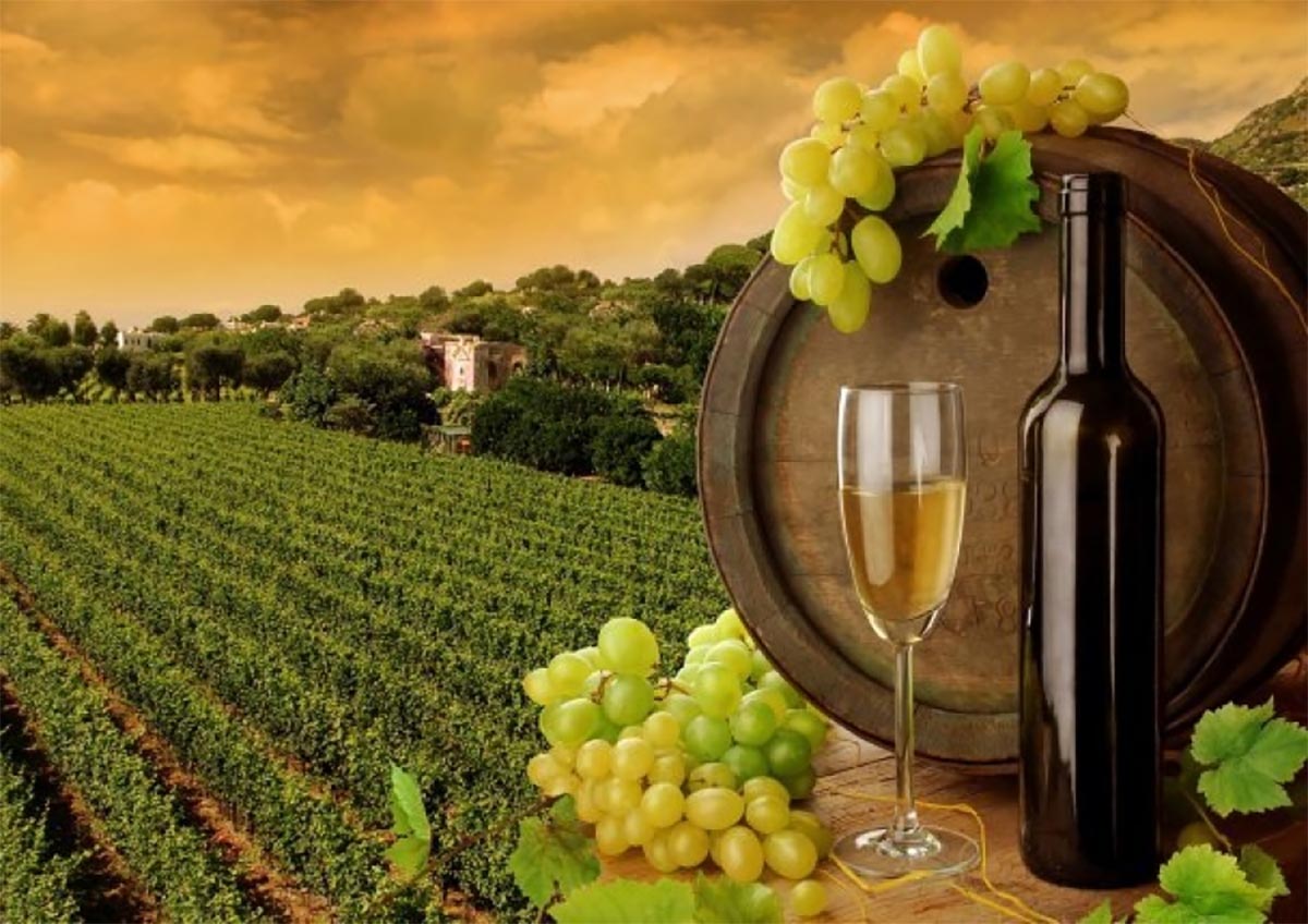A wine glass, bottle, and fresh grapes sit beside a wooden barrel with a scenic vineyard landscape in the background.