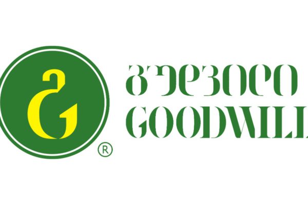 Logo with green circle featuring a yellow G and text reading "გუდვილ" and "GOODWILL" in Georgian and English.